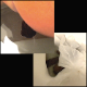 I shit twice this morning. The first one was kind of hard. I had not put on my makeup yet, so I just showed my poop action. The second one was soft, and there was a lot. 2 scenes! Presented in 720P HD. About 4.5 minutes.